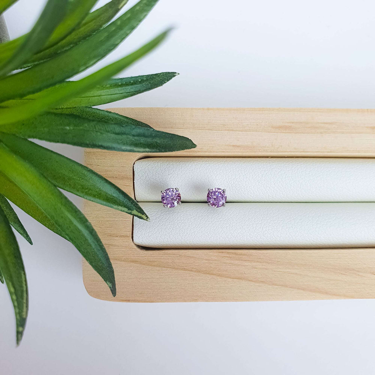 Violetiniai smeigtukiniai auskarai ant balto papuošalų padėklo šalia žalio augalo